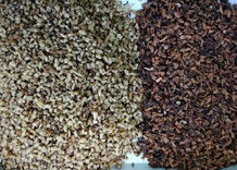 2 canales inclinados 128 canalizan al clasificador del color de las nueces, WENYAO Walnut Color Sorter