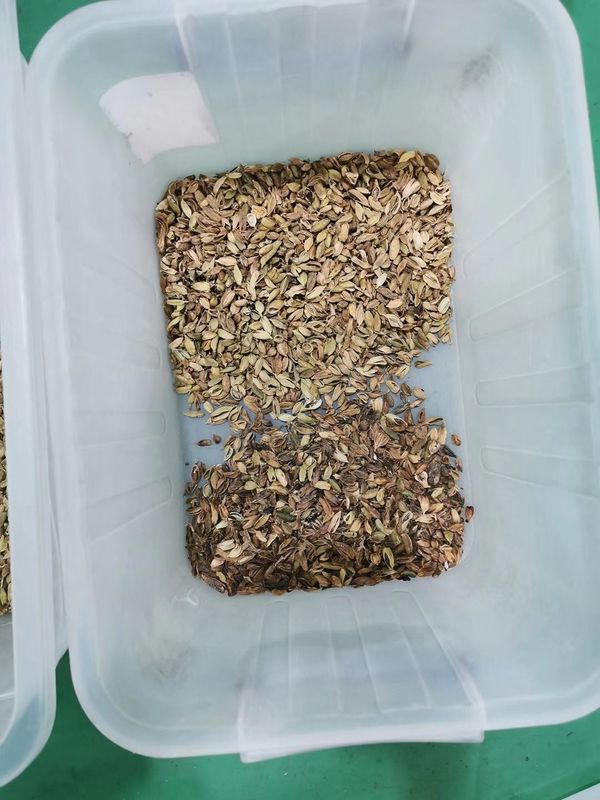Máquina agrícola /Cardamom del clasificador del color del cardamomo de los equipos que separa la máquina
