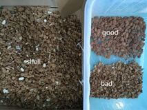 Clasificador óptico de alta calidad del color para la almendra Colo Sorting Machine de la máquina de proceso de la almendra