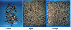 2025 Venta en caliente Precio de fábrica CCD Nuts Color Sorter Equipo de separación de nueces de macadamia con CE