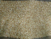 Nueces de pino del clasificador del color de la nuez de pino que procesan la niveladora para el separador de las nueces de pino