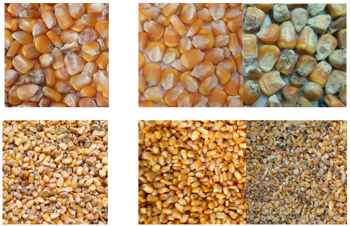 Canales inclinados ópticos de la máquina 2 del clasificador del color del grano 128 canales