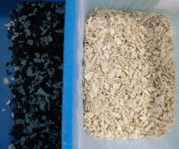 Los gránulos plásticos multifuncionales de las escamas del ANIMAL DOMÉSTICO del PVC de los PP del ABS colorean el clasificador que recicla la clasificadora del color plástico