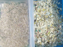 Los gránulos plásticos multifuncionales de las escamas del ANIMAL DOMÉSTICO del PVC de los PP del ABS colorean el clasificador que recicla la clasificadora del color plástico