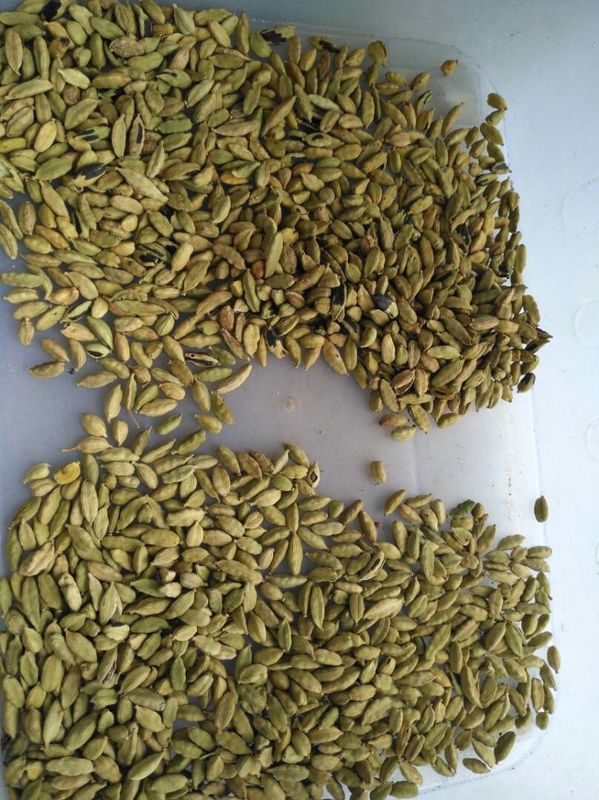 Línea de transformación del cardamomo del clasificador del color de las habas de la clasificadora del color del cardamomo