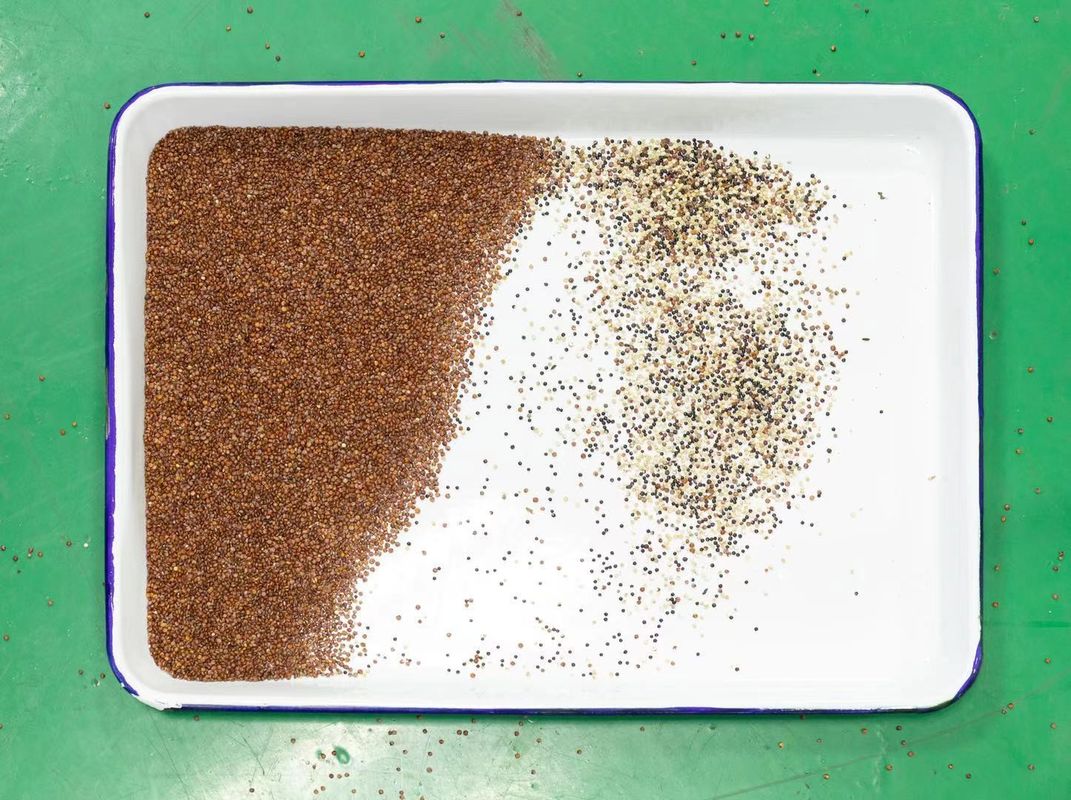 Máquinas del clasificador del color de la quinoa 128 canales 2 años de garantía