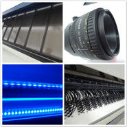 Clasificadora vegetal de /H de 1 tonelada, clasificadora de la pasa del CCD del RGB Nir