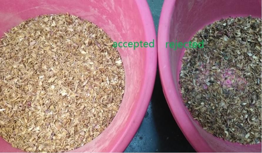 5400 millones de capacidades vegetales de la clasificadora de los pixeles altas para la cebolla secada