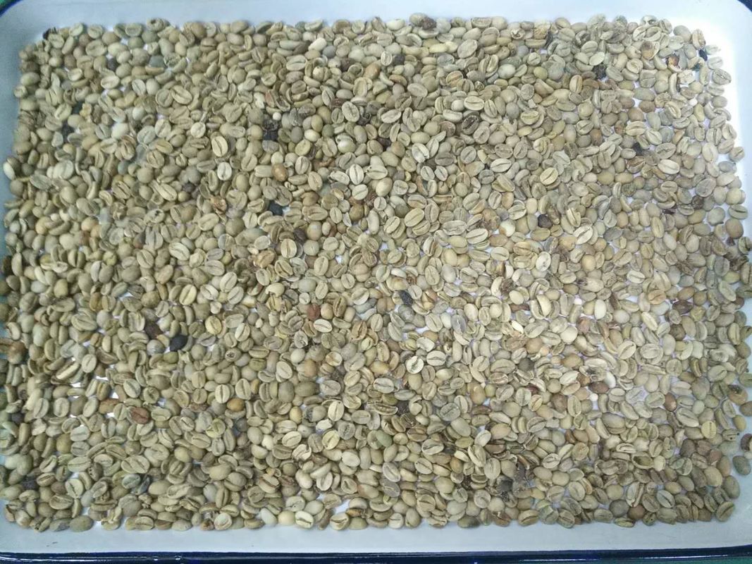 Clasificador del color de los granos de café de la cámara CCD de los pixeles de la alta capacidad 5400 que clasifica la máquina del separador