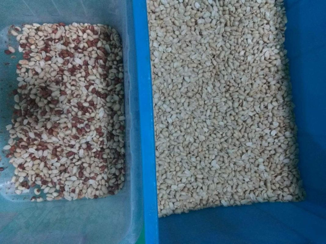 Las nueces de la tecnología más nueva colorean la máquina de la separación de colores del cacahuete del clasificador con el mejor servicio