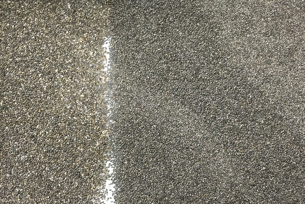 220V 50HZ Chia Seed Color Sorter, máquina inteligente del separador de la semilla
