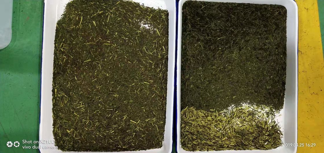 5 canales inclinados florecen la máquina del clasificador del color del té, los palillos amarillos de colores las máquinas de la separación