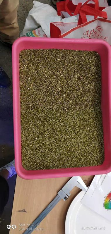 Clasificador multifuncional del color de 512 canales inclinados de los canales 8 para las habas de Mung verdes