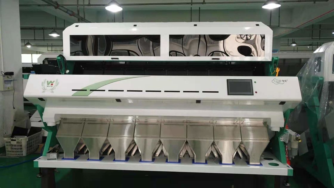 Las habas de Mung verdes colorean los canales inclinados de la alta capacidad 8 del clasificador con la cámara CCD del RGB