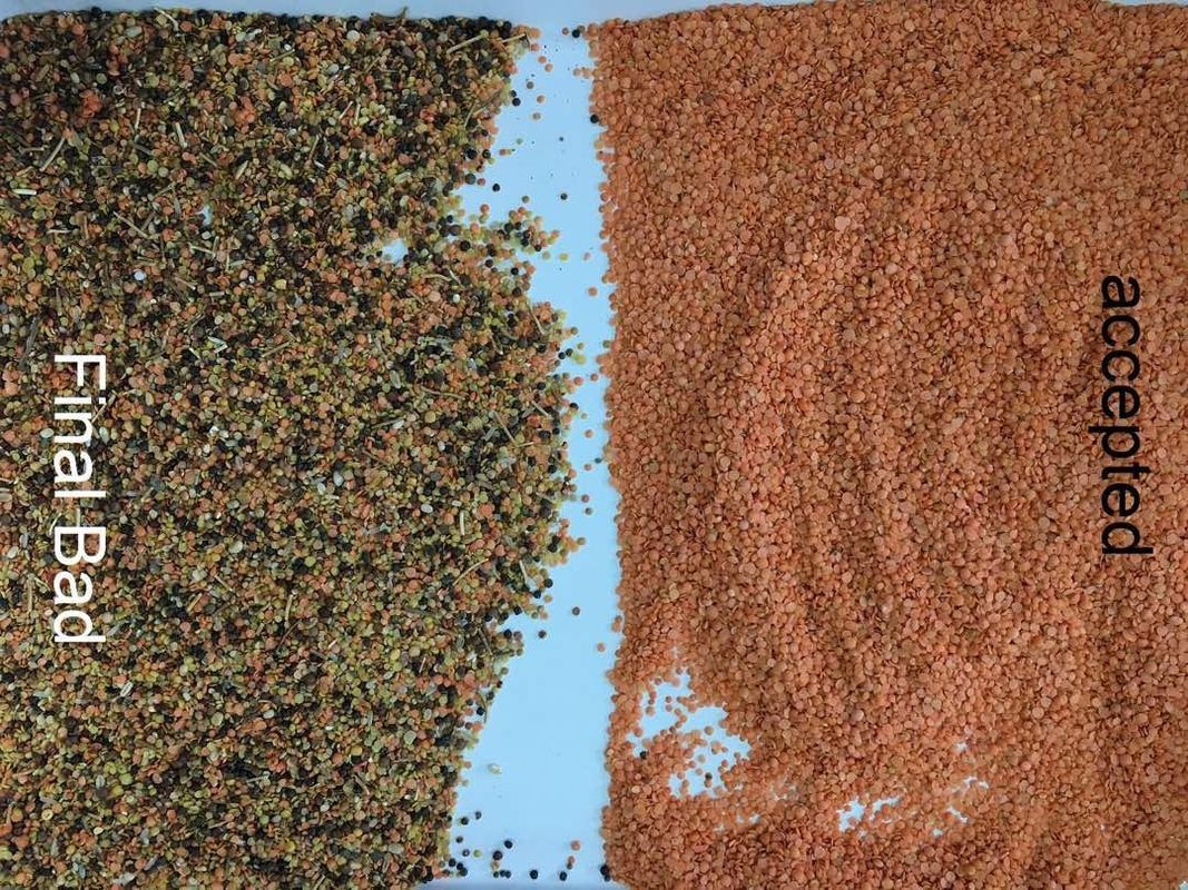 Clasificador multifuncional del color de 5400 pixeles para la lenteja negra verde roja Mung Dal