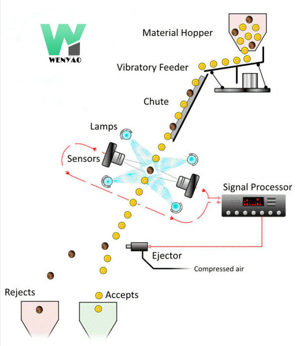 Clasificador inteligente del color de la pacana con RGB de alta velocidad Nir Cameras