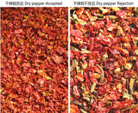 3 escaleras Máquina de clasificación de color de verduras secas Calificador de color de ajo de chile seco