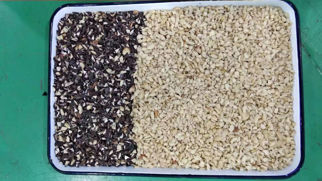 Clasificador del color de las nueces de la vela de filtro de Japón CKD para separar el color blanco y negro