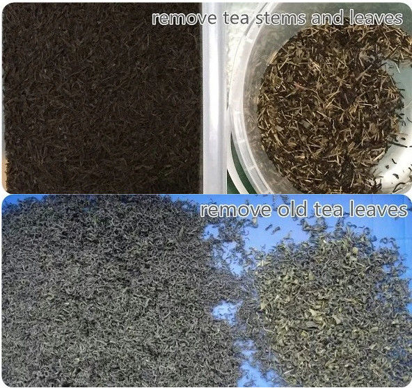 La máquina 32 del clasificador del color del té de la proyección de imagen de UHD canaliza 1 canal inclinado