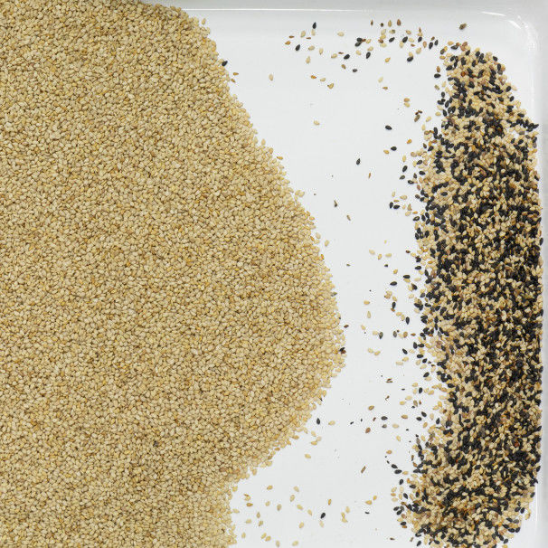 Clasificador automático del color del CCD para la rabina Chia Seed del sésamo