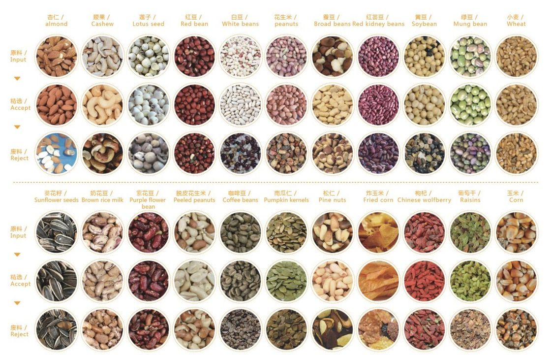 Clasificador computacional automático del color del grano del RGB para el maíz Bean Seed del trigo del arroz