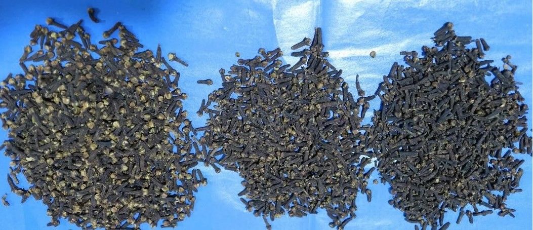 Clasificador multifuncional del color del CCD de la alta exactitud 2 años de garantía