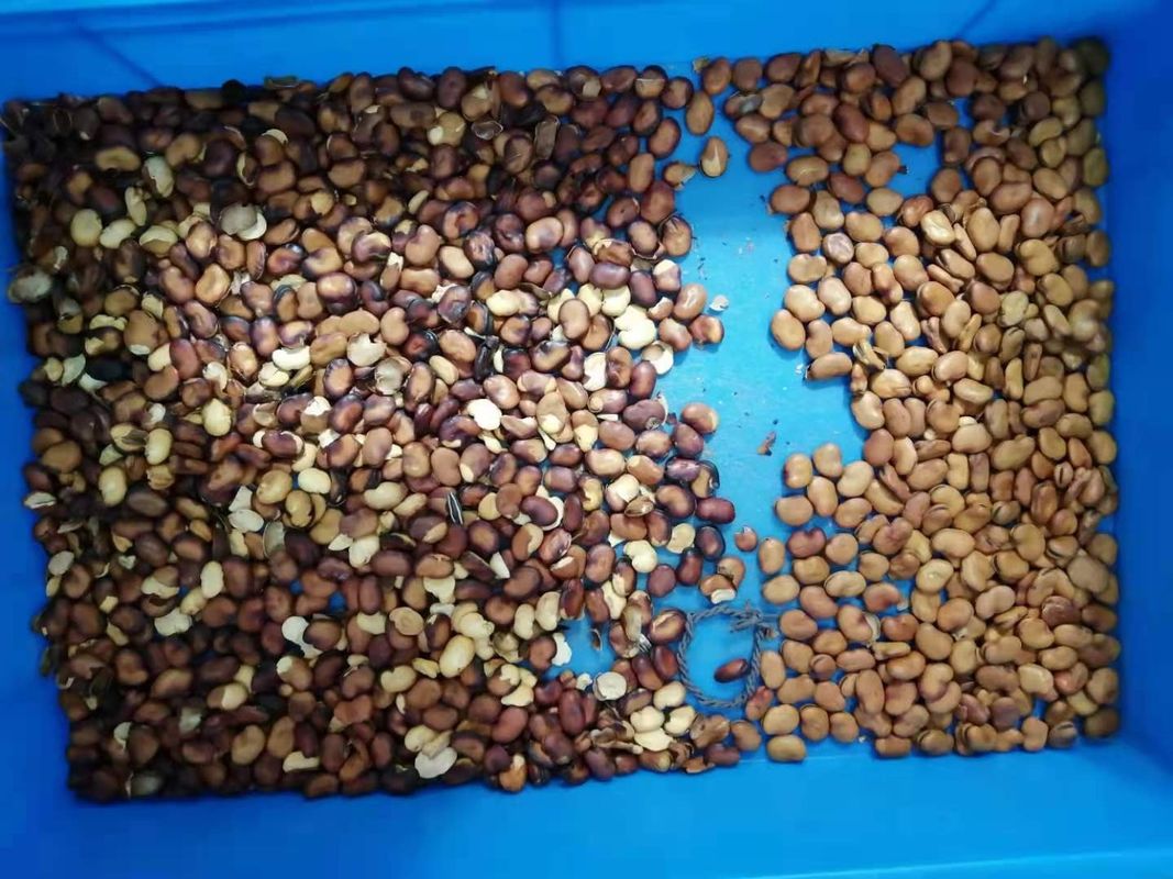 Cámara monocromática de la resolución amplia de Bean Color Separator With High