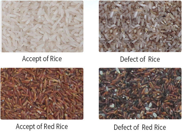 Alta luz de clasificación de la baja temperatura LED de la máquina del clasificador del arroz de la exactitud