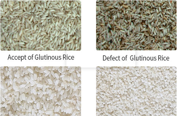 Alta luz de clasificación de la baja temperatura LED de la máquina del clasificador del arroz de la exactitud