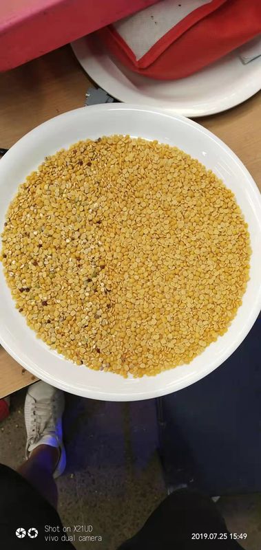 Tipo máquina del canal inclinado del clasificador del grano de las lentejas rojas con la pantalla táctil de 12 pulgadas