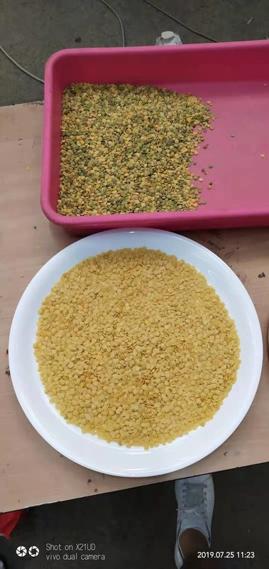 Tipo máquina del canal inclinado del clasificador del grano de las lentejas rojas con la pantalla táctil de 12 pulgadas