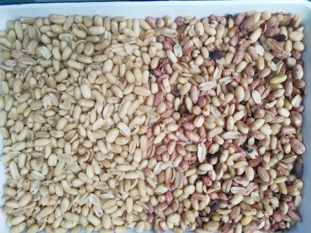 Las nueces del cacahuete colorean el clasificador, poder automático de Taiwán Meanwell del clasificador del color del CCD