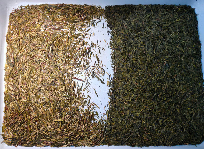 Capacidad de WENYAO Tea Sorting Machine High con el sensor del CCD del LED