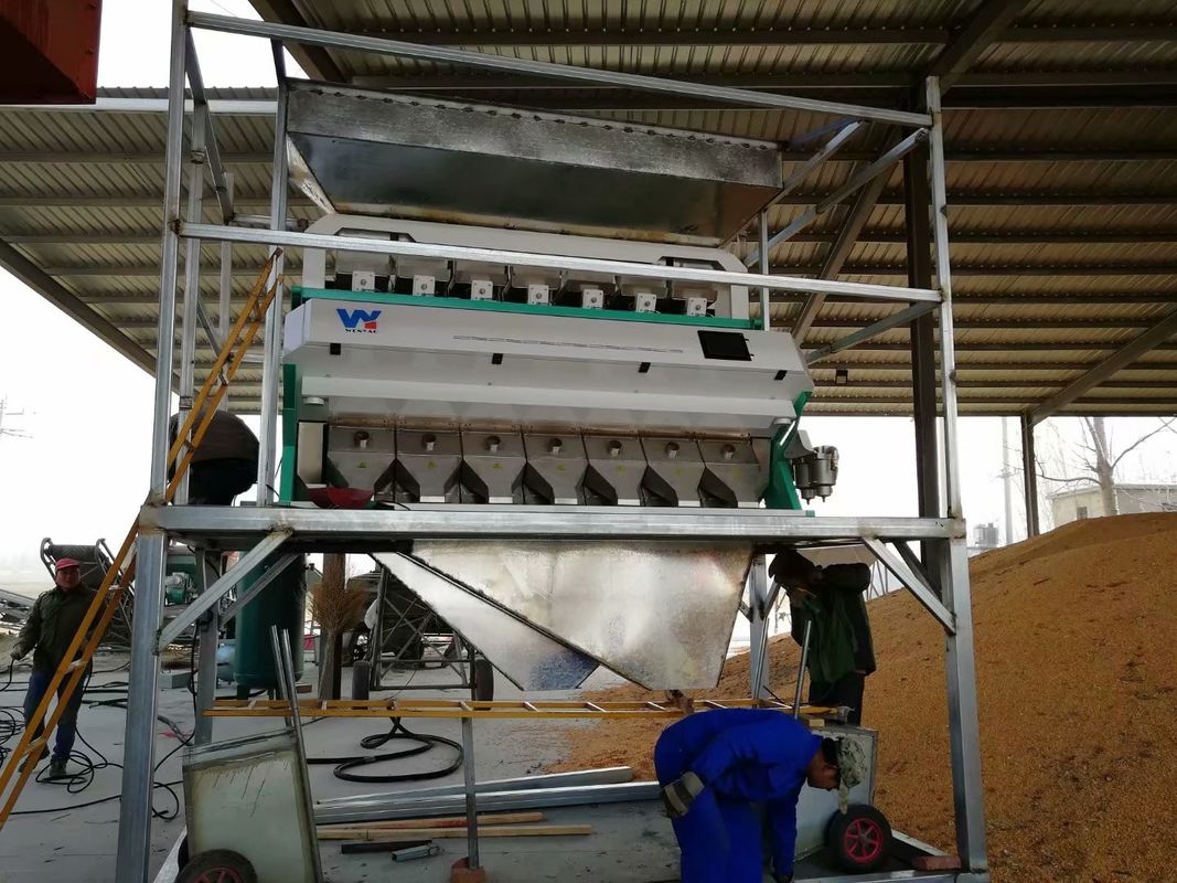 Clasificador óptico 7000kg/h del color del trigo del RGB con dos cámaras CCD