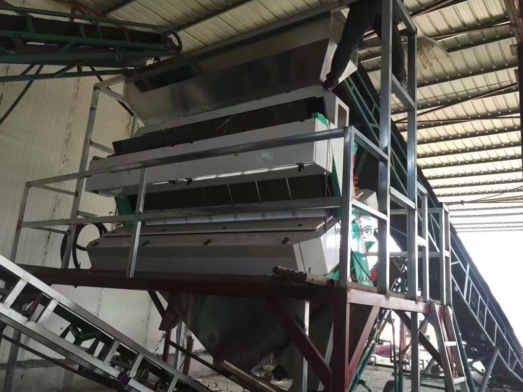 Clasificador óptico 7000kg/h del color del trigo del RGB con dos cámaras CCD
