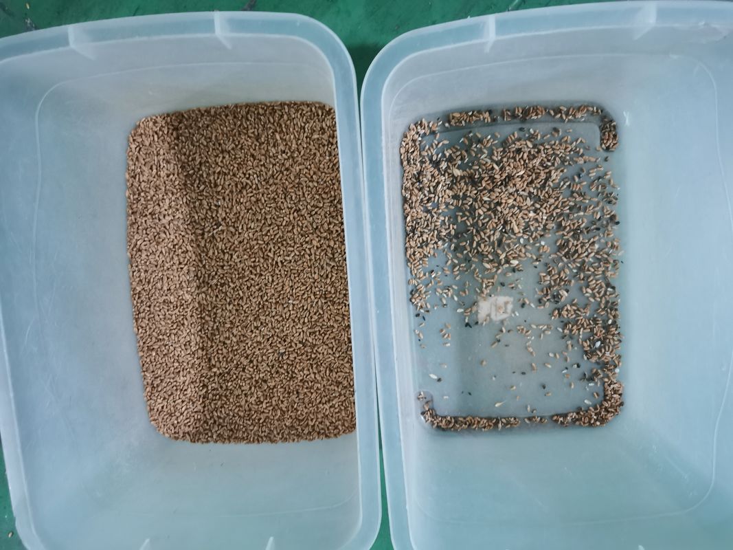 Clasificador óptico 7000kg/h del color del trigo del RGB con dos cámaras CCD