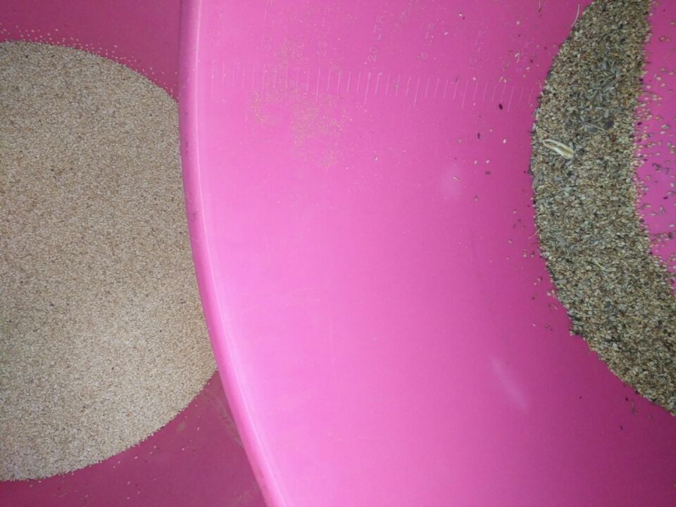 Fácil actúe al clasificador del color del grano, clasificador del color del sésamo 8t/h con la cámara del RGB