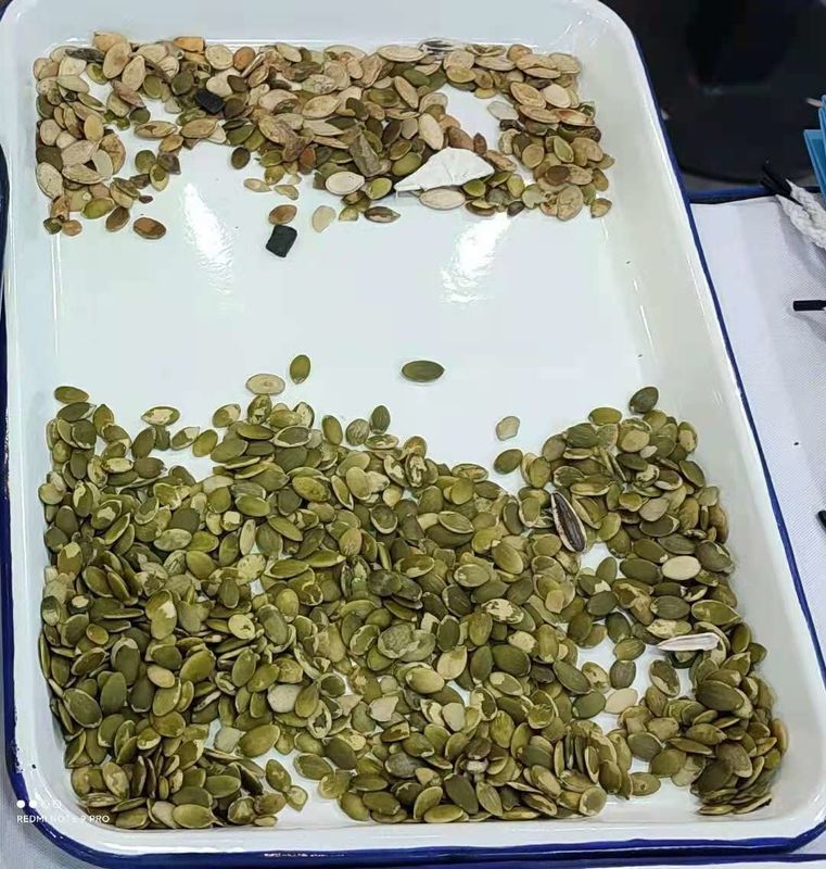 Máquina de clasificación de color de semillas de cilantro de alta capacidad de 1000 kg