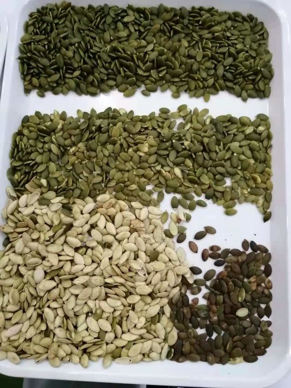 Máquina de clasificación de color de semillas de cilantro de alta capacidad de 1000 kg