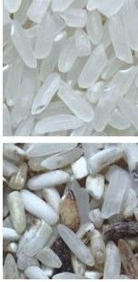 Clasificadora del CCD del color multifuncional óptico del arroz para el molino de arroz