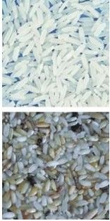 Clasificadora del CCD del color multifuncional óptico del arroz para el molino de arroz
