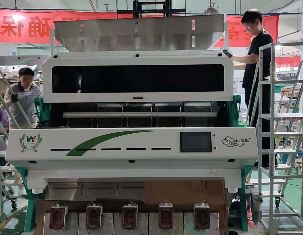 Producción óptica de la clasificadora 5000kg/H del color de la cámara del Rgb de las lentejas de la soja de Dall
