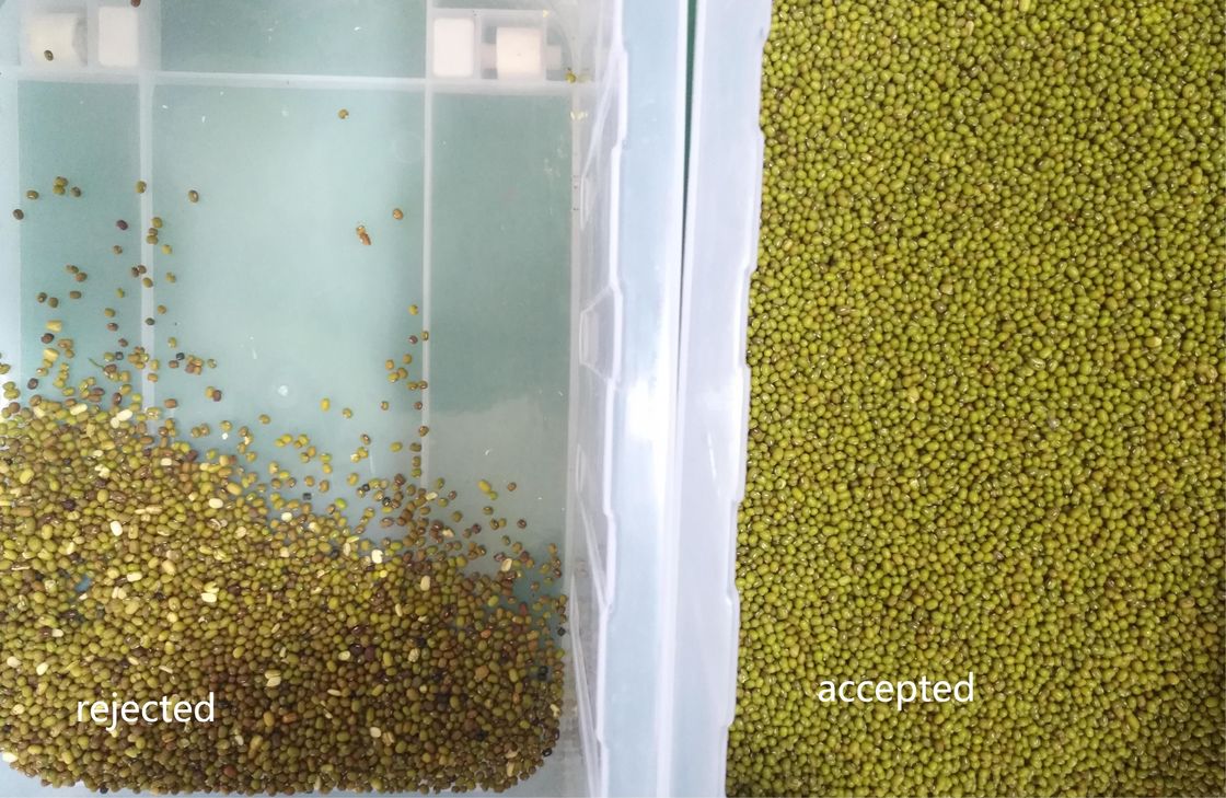 240V 50Hz Mung multifuncional Bean Color Sorter Machine 7 canaliza