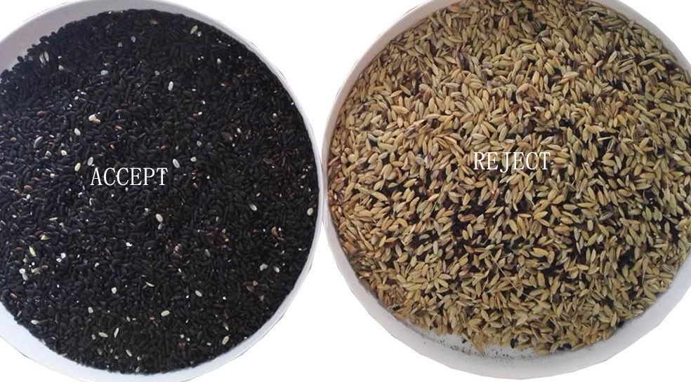 Máquina óptica del clasificador del color del arroz de los canales inclinados de la cámara 12 del RGB para el molino de arroz