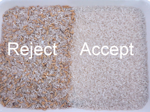 Clasificadora del arroz de los canales inclinados de la alta precisión 2 con el sensor del CCD óptico