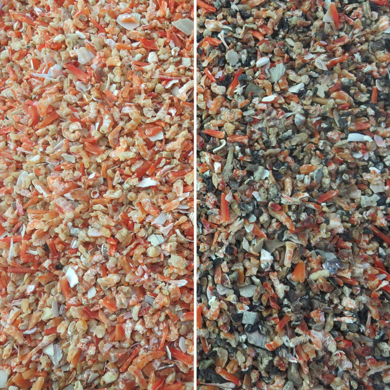 Clasificación seca alta del camarón del RGB Nir Sensor Color Sorter For de la eficacia
