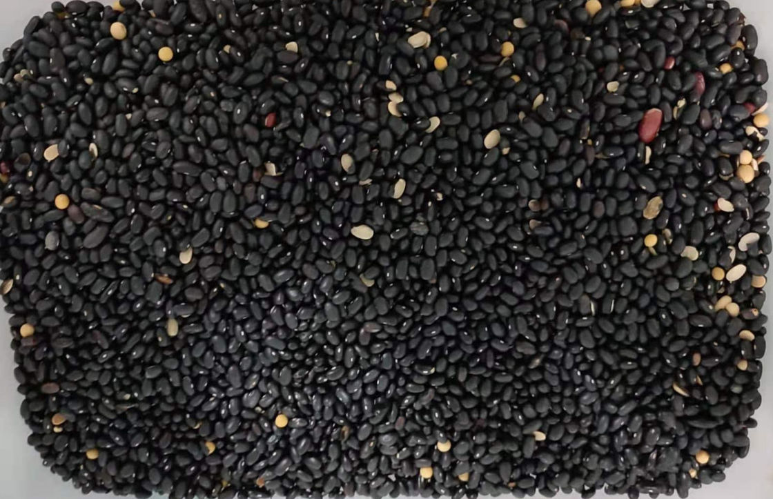 Dispositivo de vibración Máquinas clasificadoras de color de precio de fábrica de lentes CCD industriales
