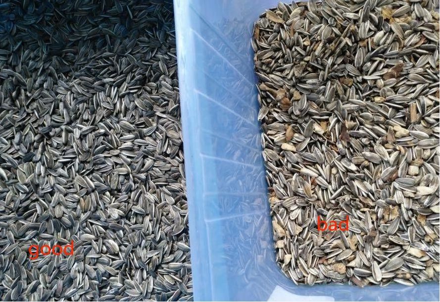 Clasificador del color de 2 de los canales inclinados 3Tons/H de la capacidad semillas de girasol para el trigo del arroz