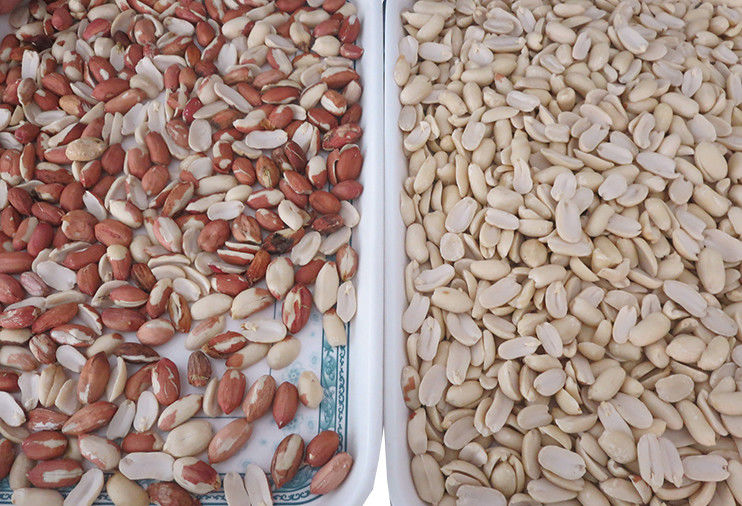 WENYAO CCD cámara habilitada para la clasificación de alta velocidad para la producción de cacahuetes ordenador óptico