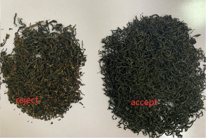 Canales inclinados del clasificador 2 del color del té de la hoja del tabaco con el sensor del CCD